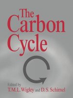 Carbon Cycle