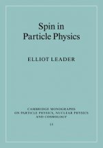 Spin in Particle Physics