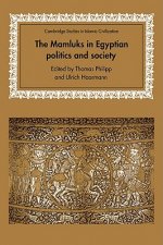 Mamluks in Egyptian Politics and Society