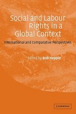 Social and Labour Rights in a Global Context