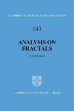 Analysis on Fractals