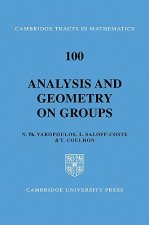 Analysis and Geometry on Groups