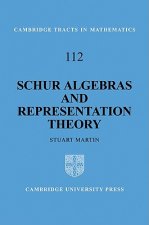 Schur Algebras and Representation Theory