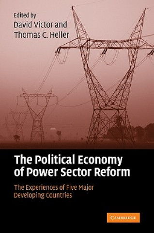 Political Economy of Power Sector Reform