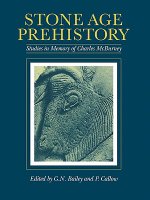 Stone Age Prehistory