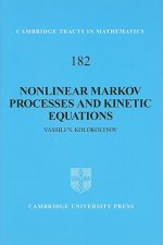Nonlinear Markov Processes and Kinetic Equations