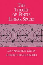 Theory of Finite Linear Spaces