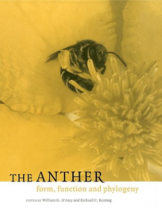 Anther