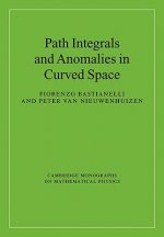 Path Integrals and Anomalies in Curved Space