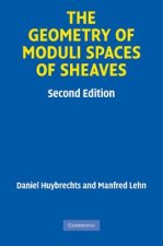 Geometry of Moduli Spaces of Sheaves