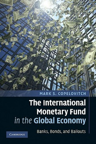International Monetary Fund in the Global Economy