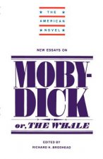New Essays on Moby-Dick
