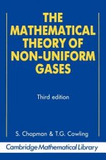 Mathematical Theory of Non-uniform Gases
