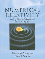 Numerical Relativity