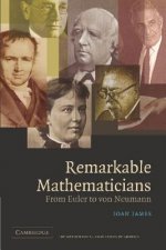 Remarkable Mathematicians
