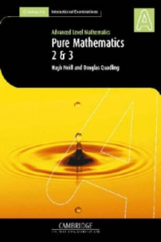 Pure Mathematics 2 and 3 (International)