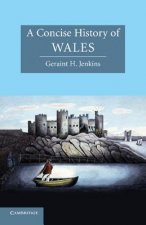 Concise History of Wales