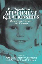 Organization of Attachment Relationships