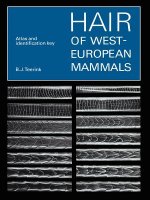 Hair of West European Mammals
