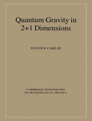 Quantum Gravity in 2+1 Dimensions