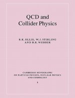 QCD and Collider Physics