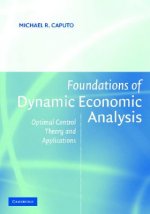 Foundations of Dynamic Economic Analysis