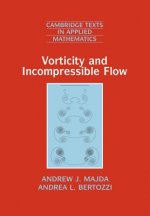 Vorticity and Incompressible Flow