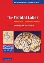Frontal Lobes
