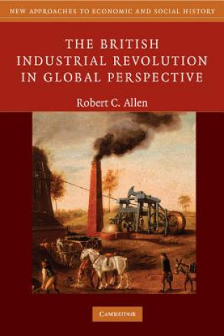 British Industrial Revolution in Global Perspective