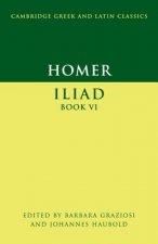 Homer: Iliad Book VI