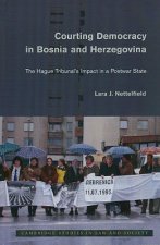 Courting Democracy in Bosnia and Herzegovina