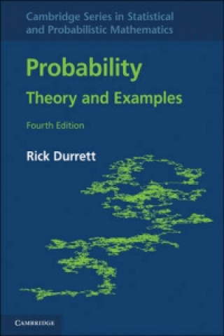 Cambridge Series in Statistical and Probabilistic Mathematics