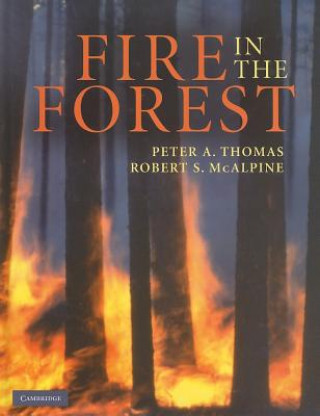 Fire in the Forest