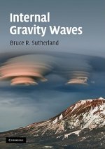 Internal Gravity Waves