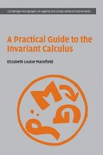Practical Guide to the Invariant Calculus