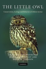 Little Owl