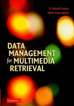 Data Management for Multimedia Retrieval