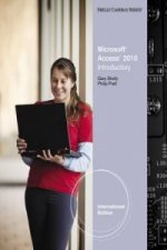Microsoft (R) Access 2010