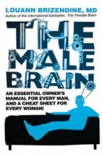 Male Brain