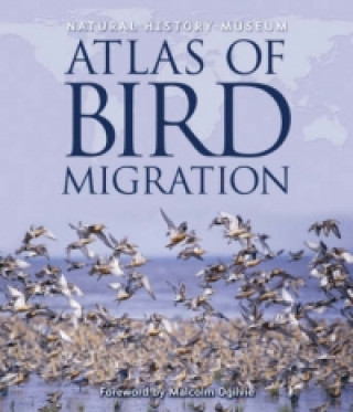 Natural History Museum Atlas of Bird Migration
