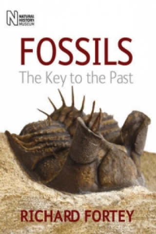 Fossils