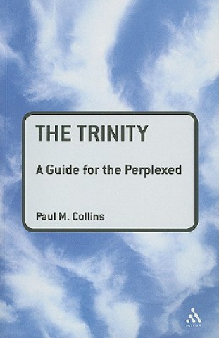 Trinity: A Guide for the Perplexed