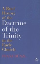 Brief History of the Doctrine of the Trinity in the Early Church