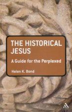 Historical Jesus: A Guide for the Perplexed