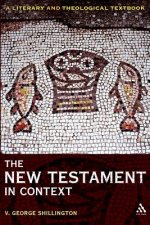 New Testament in Context