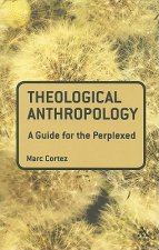 Theological Anthropology: A Guide for the Perplexed