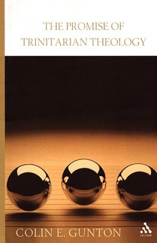 Promise of Trinitarian Theology
