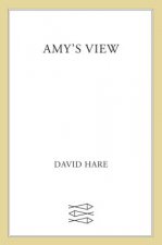 Amy's View