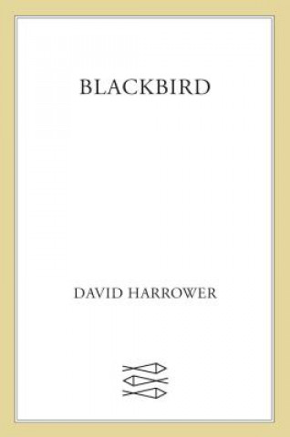 Blackbird