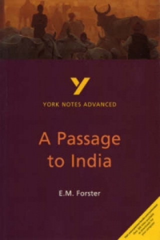 Passage to India: York Notes Advanced